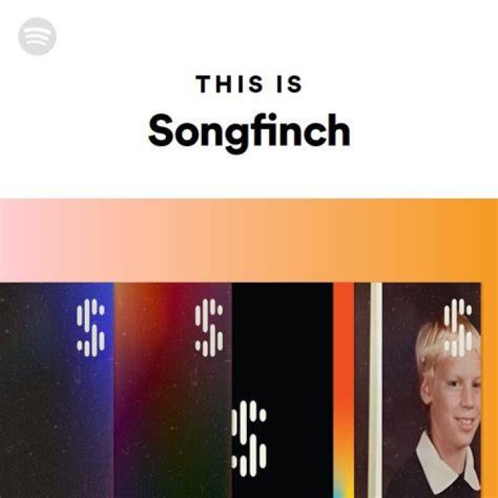 Songfinch Spotify