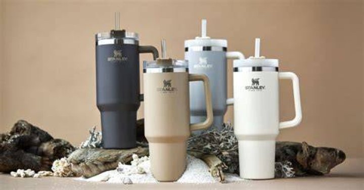 Stanley cups 411 Why are they so popular? The rise of the viral tumbler