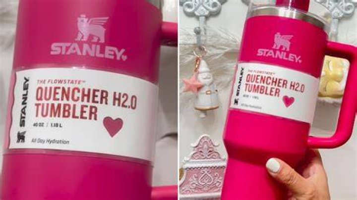 Stanley tumbler fan faces backlash for laminating Target product label