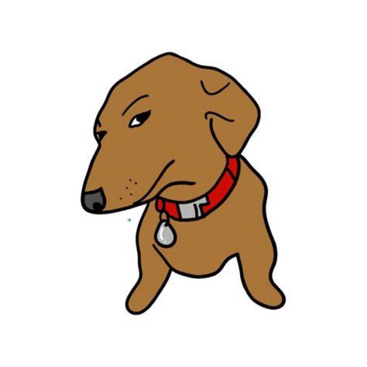 Suspicious Dog Meme Blank