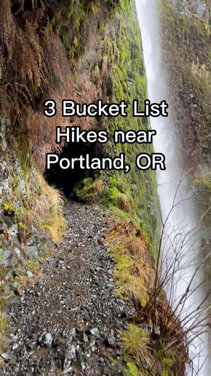 The Awesome Hike In Portland That Will Take You Straight To An
