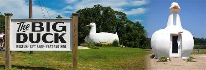 The Big Duck Big duck, Long island ny, Duck