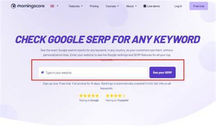 The Ultimate SERP Google Checker: Unlock Keyword Rankings Today