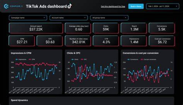 TikTok Ads Dashboard & Reporting For Marketing Agencies AgencyAnalytics