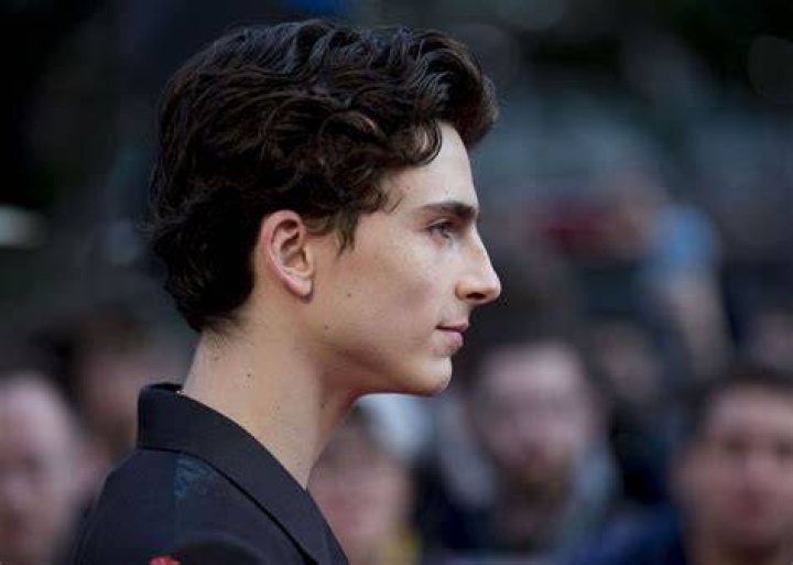 Timoth&eacute;e Chalamet Profile Images &mdash; The Movie Database (TMDB)