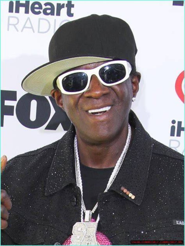 Uncover The World Of Flavor Flav And His Partners