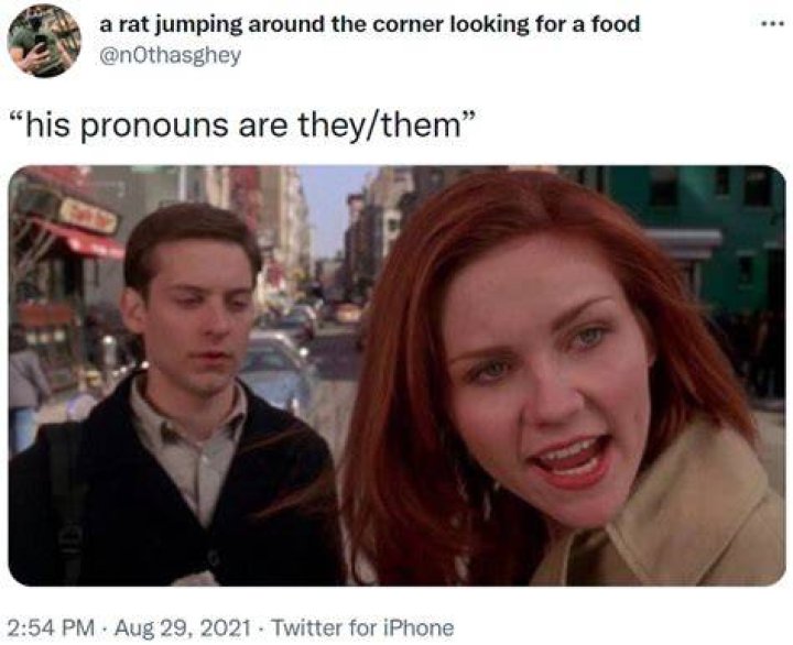 Understanding The "His Pronouns Are They Them" Meme