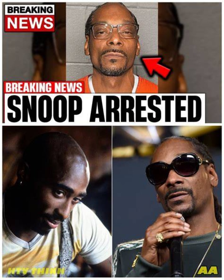 Unraveling The Mystery Of Snoop Dogg's Arrest: A Detailed Look