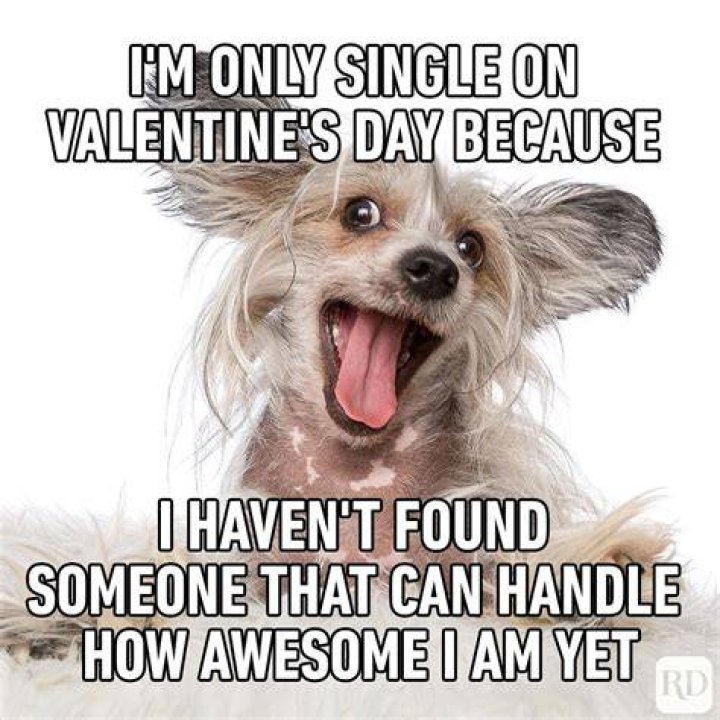 Valentine&rsquo;s Day 2022 Jokes, Funny Memes, Images, Quotes for Singles