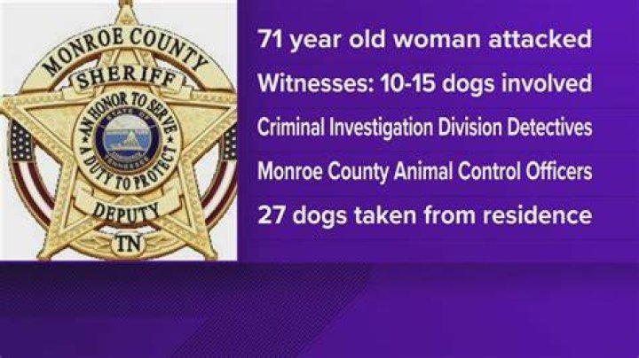 WATCH Woman attacked by dogs East Idaho News