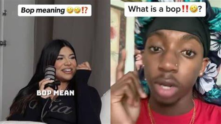 What Does Bop Mean on TikTok Understanding Gen Z's Definition LavaCow