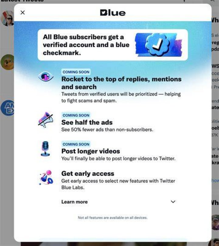 What does the blue check mark on TikTok mean? Platform update explained