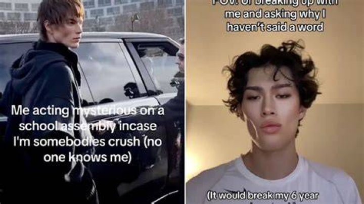 What Mog, Mogging, and Looksmaxxing from TikTok Mean ? MemeInCase