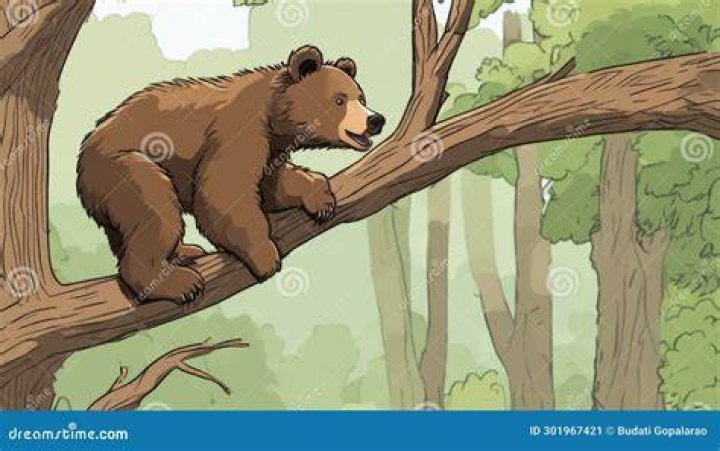 When Nature Turns The Tables: The Story Of A Bear Climbing A Tree On A Hunter