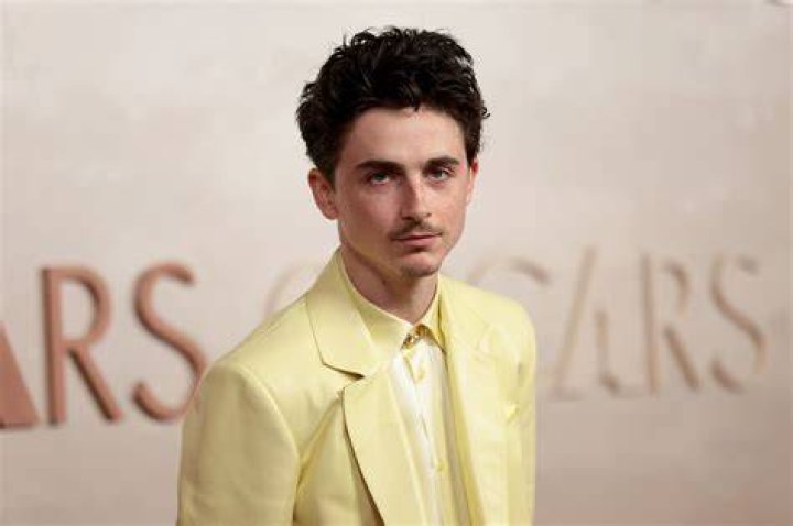 Where Is Timothee Chalamet's Father Now, According to Marc Chalamet? APXV