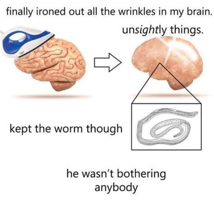 Worm good Surreal Memes Know Your Meme