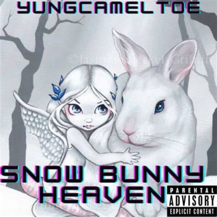 yungcameltoe Snow Bunny Heaven Lyrics Genius Lyrics